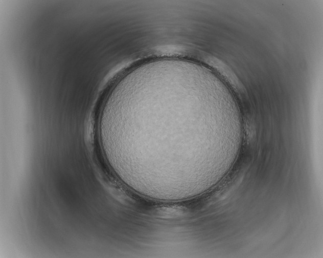 X0000111830583200908061157