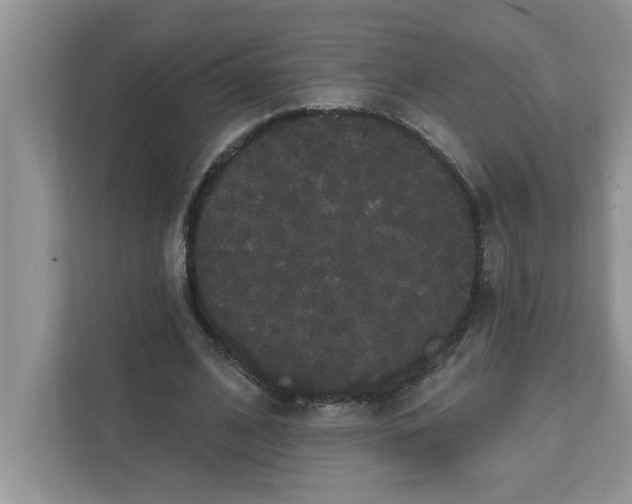 X0000111830584200908061157