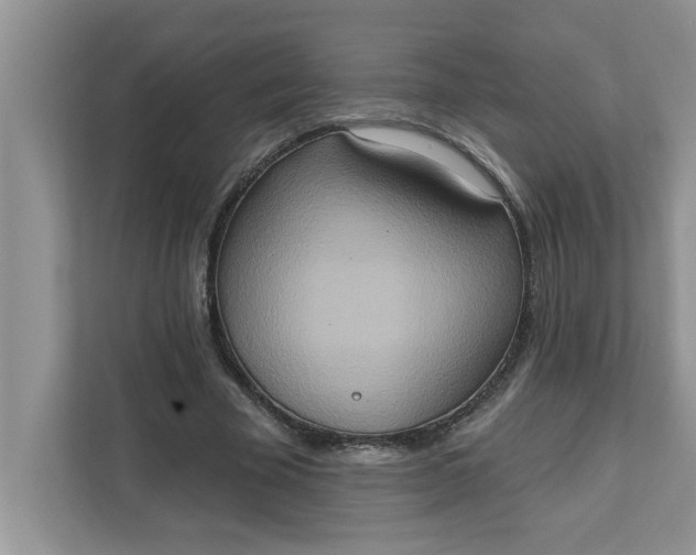 X0000111830585200908061157