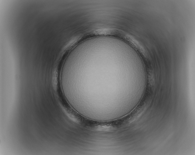 X0000111830586200908061157