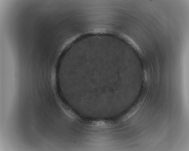 X0000111830588200908061157