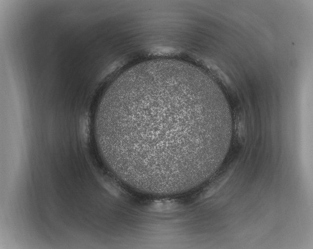 X0000111830591200908061157