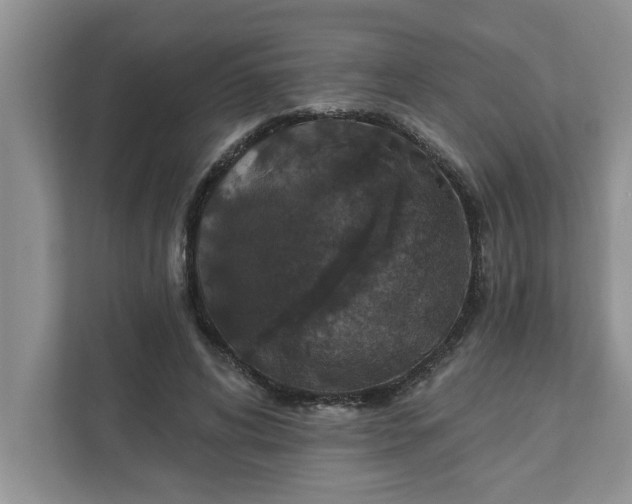 X0000111830592200908061157