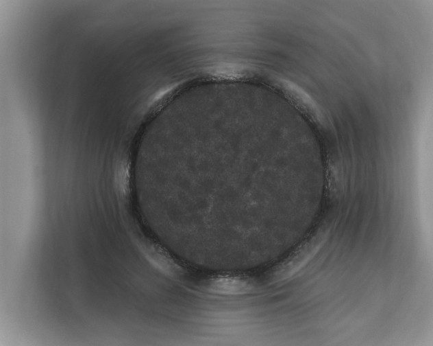 X0000111830596200908061157