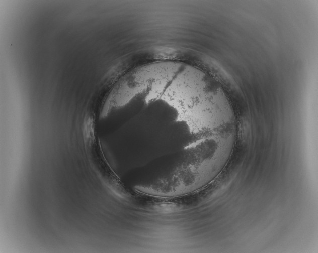 X0000111830598200908061157