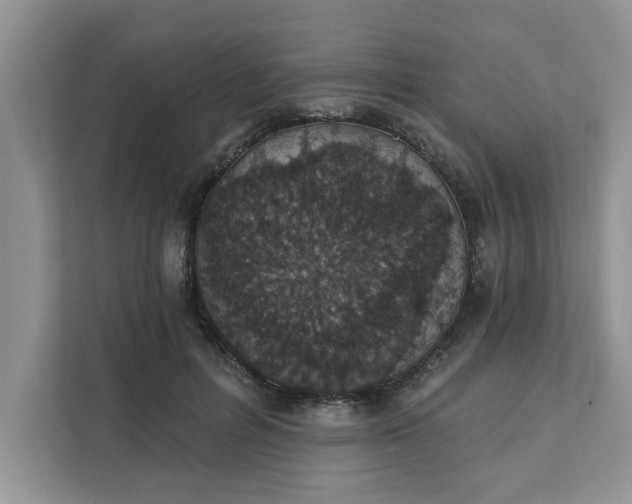 X0000111830600200908061157