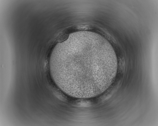X0000111830601200908061157