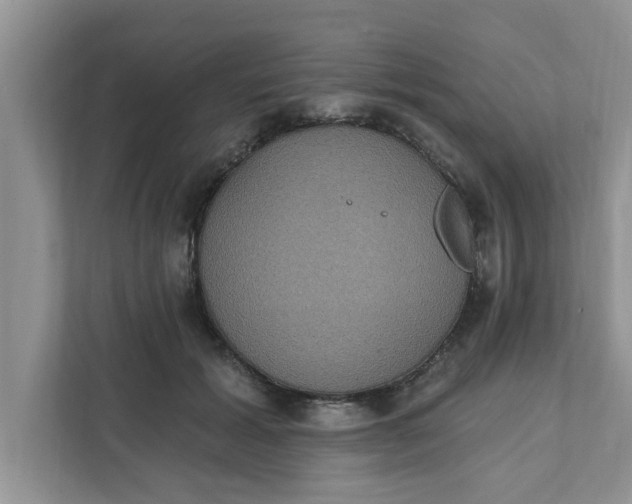 X0000111830605200908061157