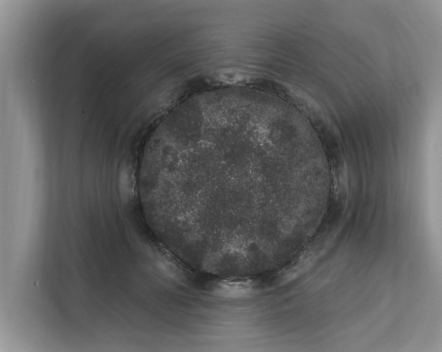 X0000111830606200908061157