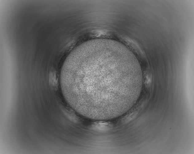 X0000111830607200908061157