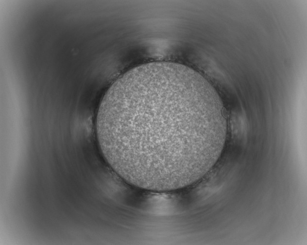 X0000111830611200908061157