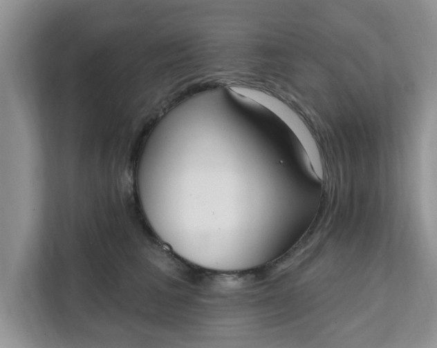 X0000111830613200908061157