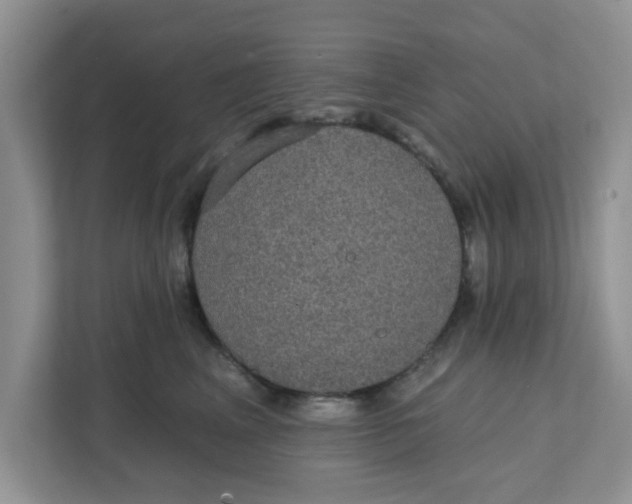 X0000111830617200908061157