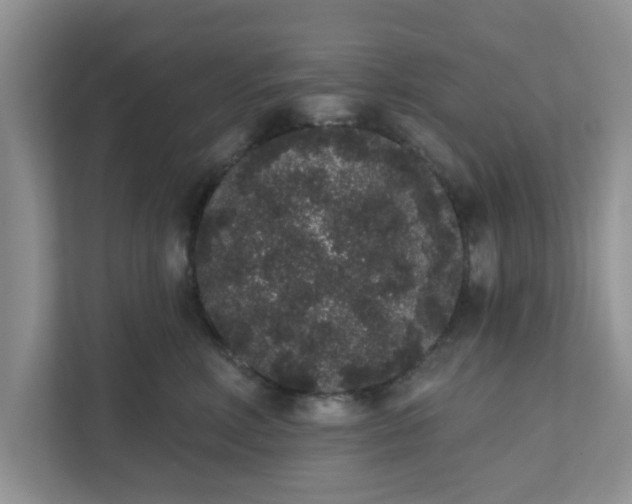 X0000111830618200908061157