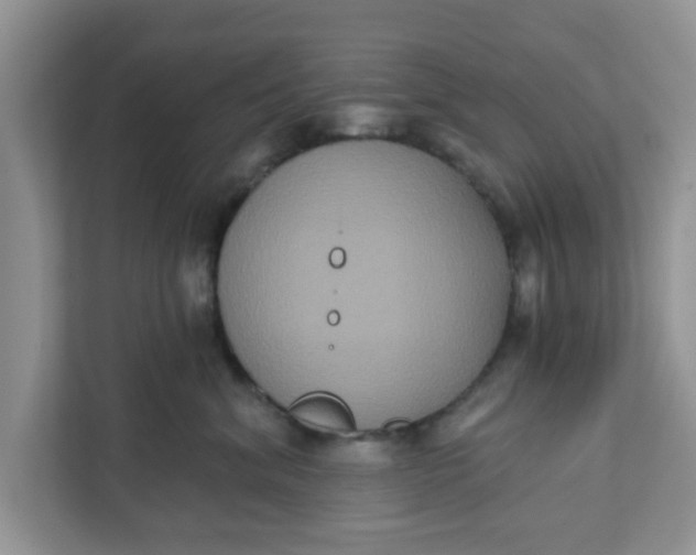 X0000111830620200908061157