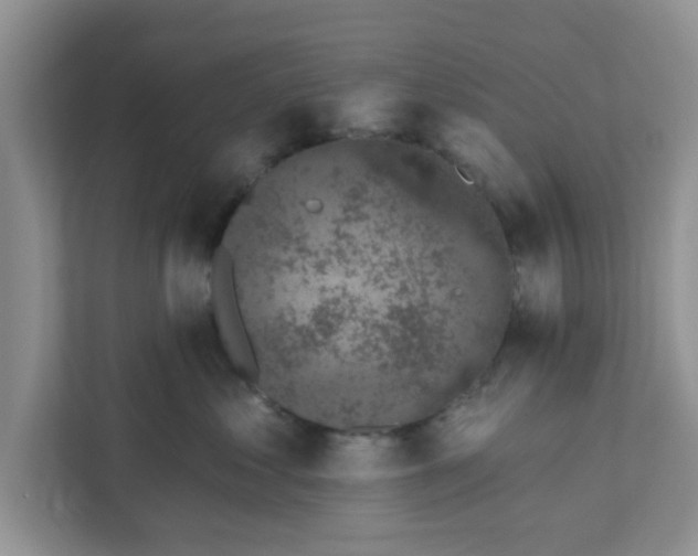 X0000111830621200908061157