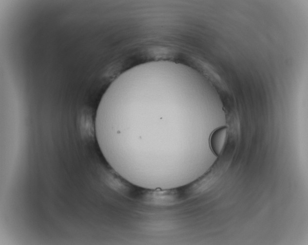 X0000111830622200908061157
