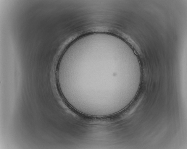 X0000111830625200908061156