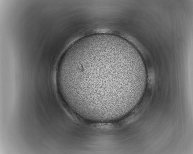 X0000111830626200908061156