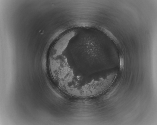 X0000111830627200908061156