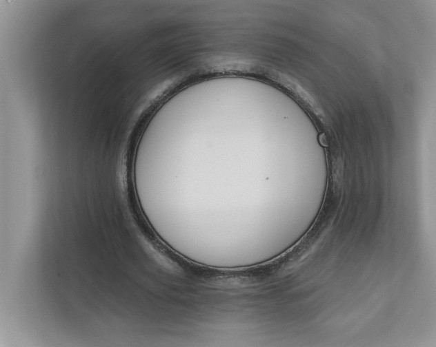 X0000111830629200908061156