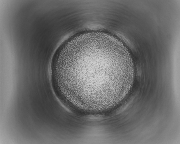 X0000111830630200908061156