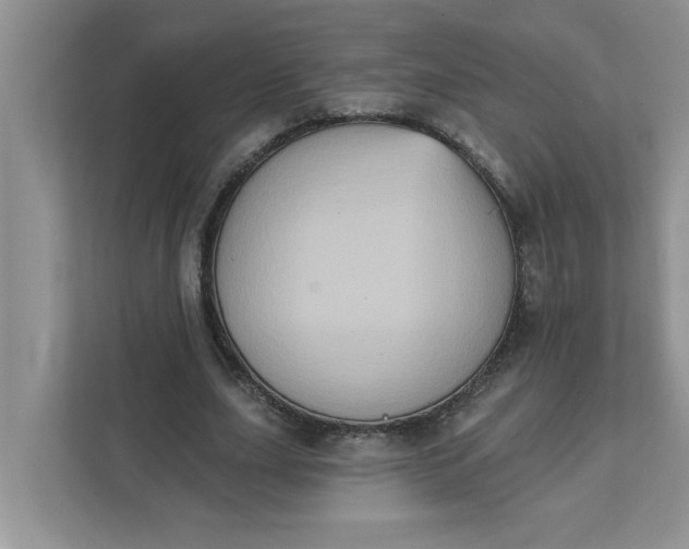 X0000111830631200908061156