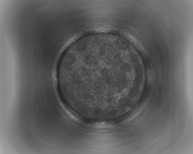 X0000111830634200908061156