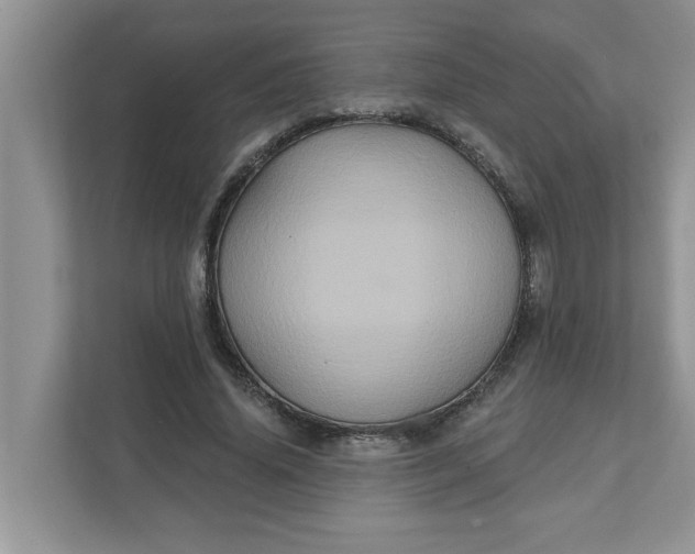 X0000111830636200908061156