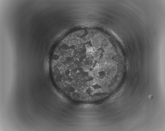 X0000111830637200908061156