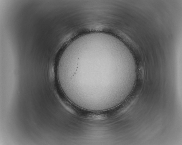 X0000111830638200908061156