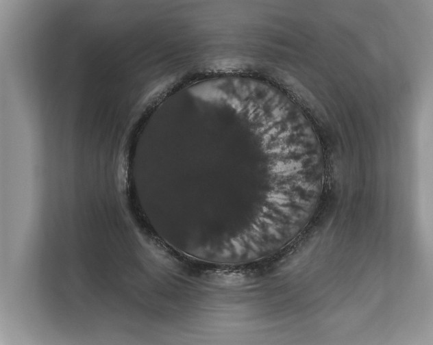 X0000111830640200908061156