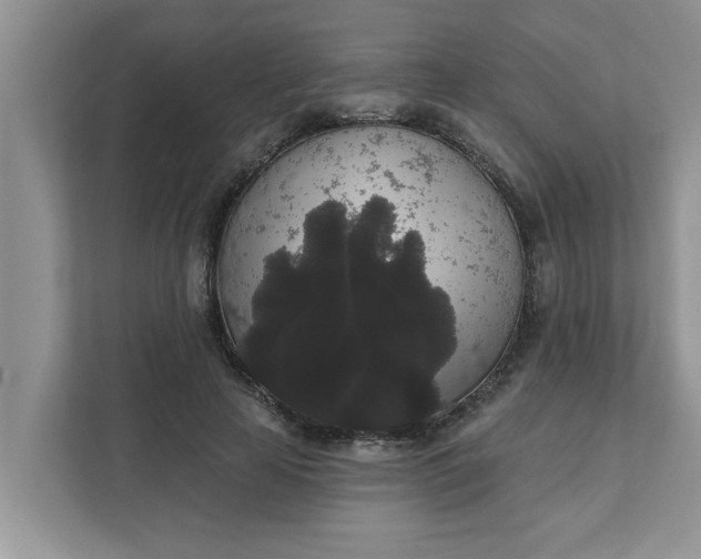 X0000111830641200908061156