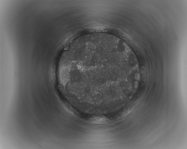 X0000111830642200908061156