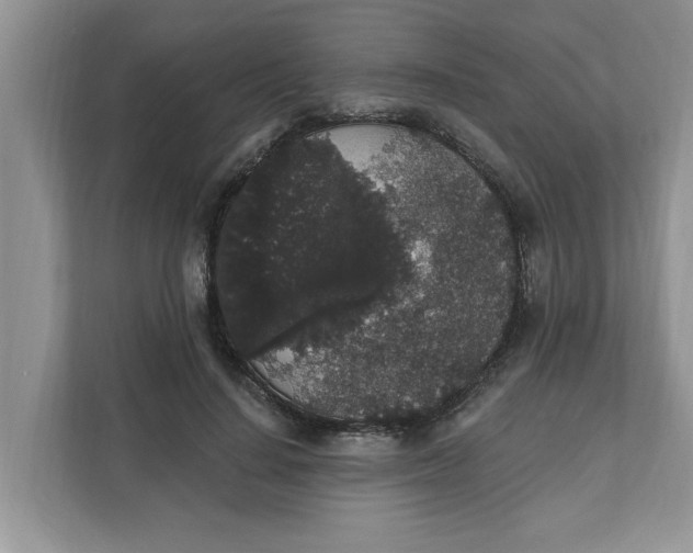 X0000111830644200908061156