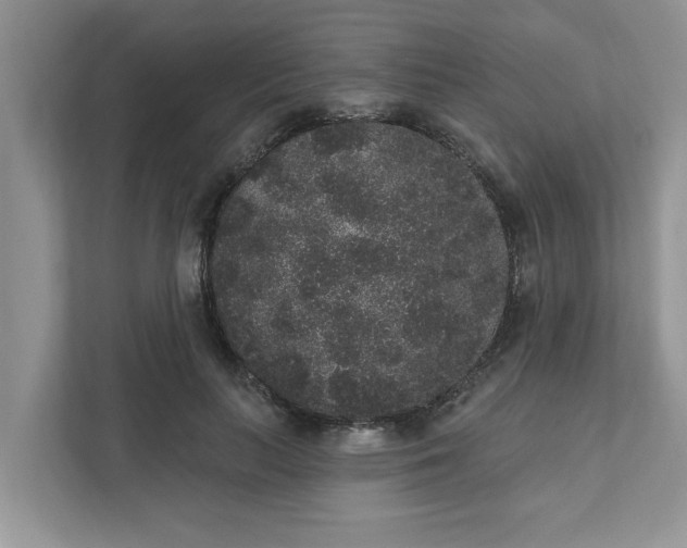 X0000111830647200908061156