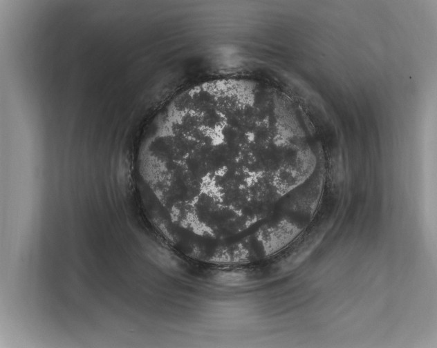 X0000111830653200908061156
