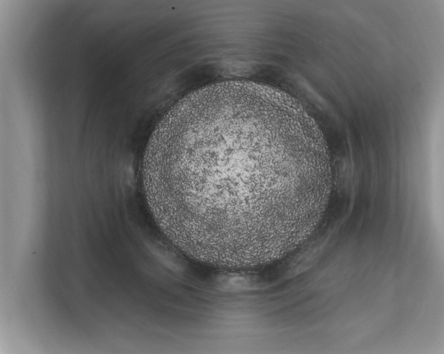 X0000111830655200908061156