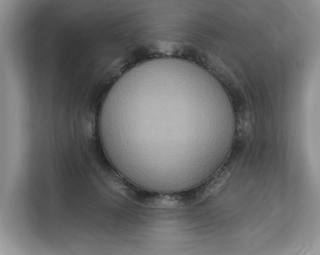 X0000111830656200908061156