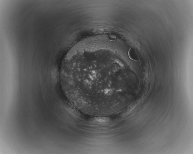 X0000111830659200908061156