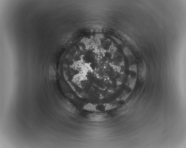 X0000111830661200908061156
