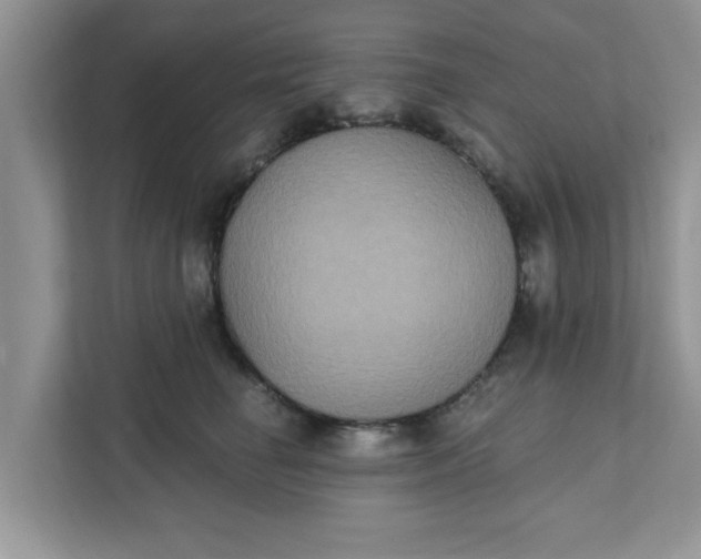 X0000111830662200908061156