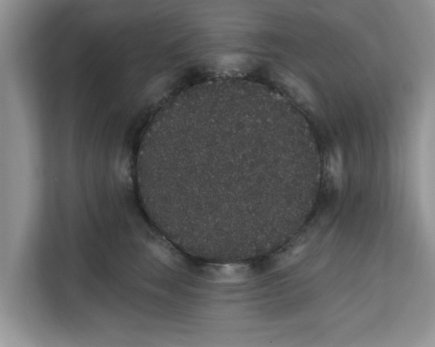 X0000111830663200908061156