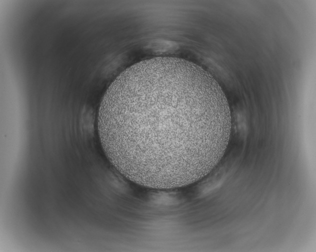 X0000111830664200908061156