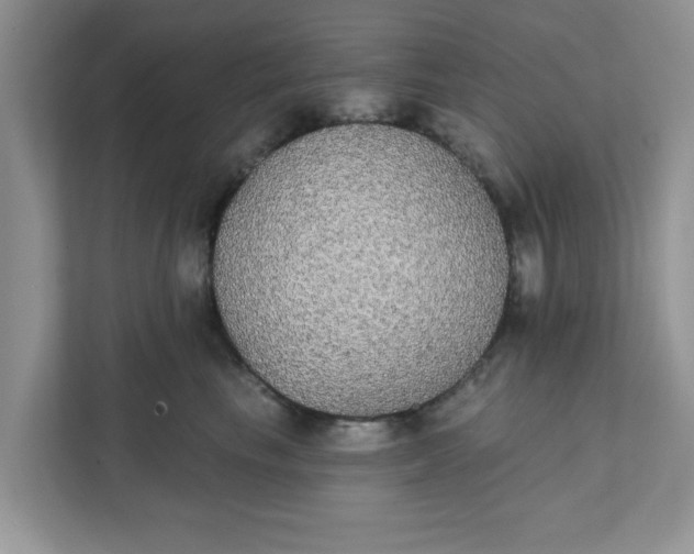 X0000111830665200908061156