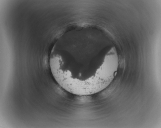 X0000111830670200908061156