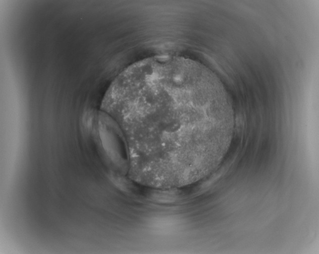 X0000111830671200908061156