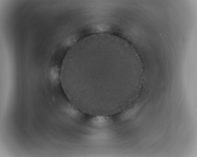 X0000111830672200908061156