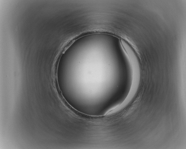 X0000111830673200908061156