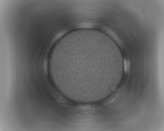 X0000111830675200908061156